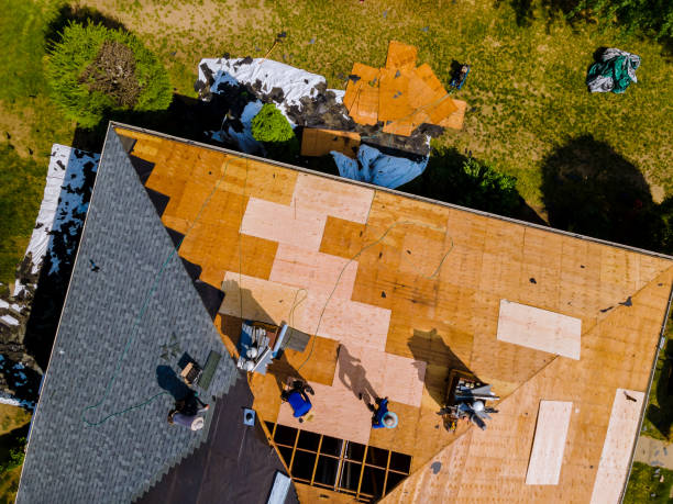 Best Roof Waterproofing Services  in Springfield, MI