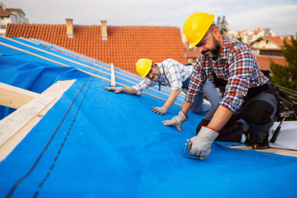 Best Gutter Installation and Roofing  in Springfield, MI