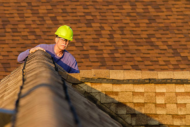 Best Affordable Roofing Company  in Springfield, MI