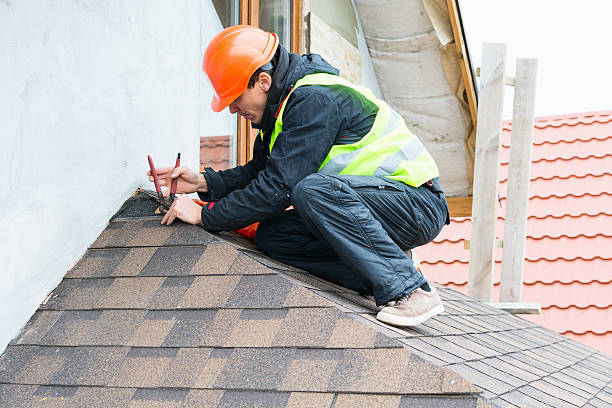 Best Metal Roofing Contractor  in Springfield, MI