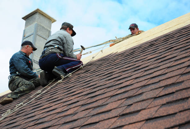 Best Commercial Roofing Services  in Springfield, MI