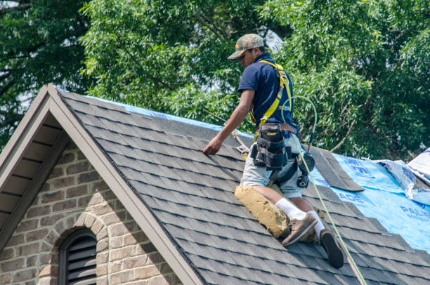 Best Best Roofing Contractors  in Springfield, MI